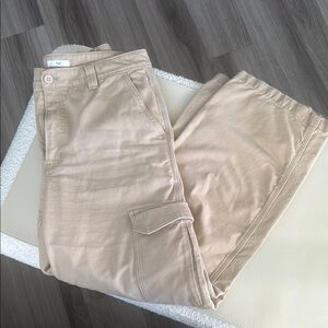 Aritzia Tna Tan Cargo Pants